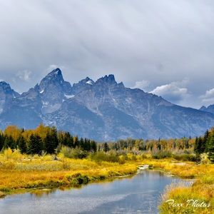 Meet your Posher, Jackson